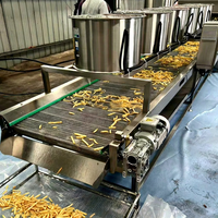 Geavanceerde multi-ingrediënten productielijn voor frituren en vriezen met automatische besturing voor de verwerking van vis, groenten en fruit