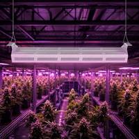 Lampes de culture LED intégrées étanches 500W personnalisées LM301H à spectre complet réglable 3000K 5000K pour système d'agriculture verticale