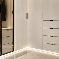 Système de dressing sur mesure avec porte vitrée, éclairage LED, miroir de courtoisie et rangement pour la maison