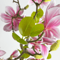 Simulasi 150cm pohon Magnolia buatan, daun hijau imitasi, tanaman pot bunga, pohon Bonsai palsu untuk dekorasi dalam ruangan