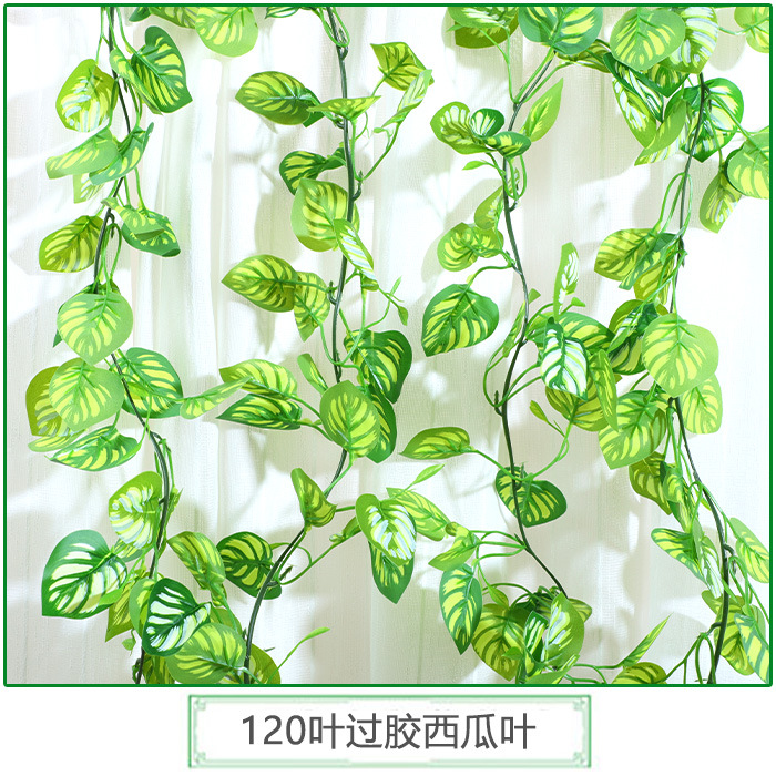 ใบแตงโมติดกาว 99 ใบ