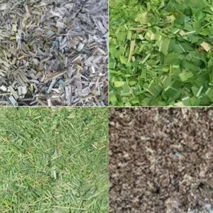 Nieuwe kleine elektrische hakselaar met hoge capaciteit voor veevoer en kuilvoer, met wielen - Product Image 5