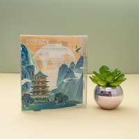 Boîtes cadeaux en plastique transparent PET avec logo personnalisé, impression offset UV, estampage à chaud, emballage pliable plat, estampage à chaud