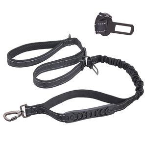 Lüks orta büyük köpek tasma altın saç elastik çekme kısa uzun naylon halat kişiselleştirilmiş patlamaya dayanıklı yürüyüş katı kurdela - Product Image 6