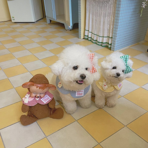 Nouveauté 2026 : Cape pour chien avec nœud papillon, Bavoir pour animal de compagnie, Serviette anti-salive pour chien, Serviette triangulaire pour animaux de compagnie, Accessoires pour animaux de compagnie - Product Image 6