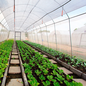 50 <strong>Mesh</strong> Insect <strong>Net</strong> Garden Netting Insect Barrier <strong>Mesh</strong> For Greenhouse - Product Image 6