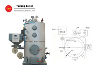 Générateur de vapeur vertical de 0,5 tonne alimenté à la biomasse (balle de riz) – Capacité personnalisable disponible