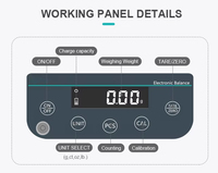Équipement de laboratoire Balance analytique de haute précision 0,01 g Balance de laboratoire électronique avec construction métallique