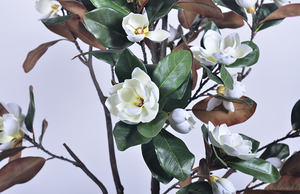 Árboles <span class=keywords><strong>de</strong></span> <span class=keywords><strong>Magnolia</strong></span> Artificiales en Maceta al por Mayor, Bonsáis Decorativos <span class=keywords><strong>de</strong></span> Interior para Decoración del Hogar - Product Image 3