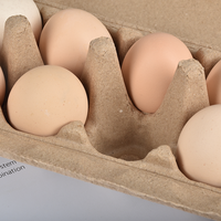 Muestras Gratis, Bandeja de Cartón Biodegradable Desechable para Huevos, en Tamaños 6/8/10/12/16, en Venta