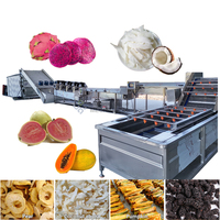 Industriële droogapparatuur voor geraspte kokosnoot, limoen, papaja, pitaya, appel en kiwi.