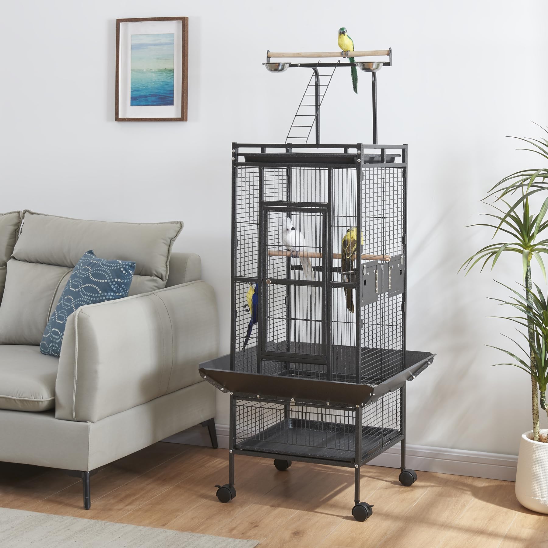 bird aviary large outdoor