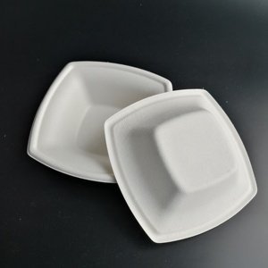 Carré de Bagasse De Canne À Sucre Jetable Biodégradable Bol - Product Image 5