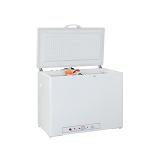 Congelador Horizontal Eléctrico/a Gas de 160L para el Hogar, Modelo DSG-160B1 - Product Image 1