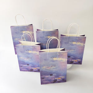 Bolsa de Papel de Regalo Grande Personalizada con su Logotipo para Comercio Minorista, Ropa, Joyería, Bolsa de Papel Promocional de Lujo para Pequeñas Empresas - Product Image 1