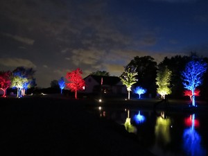 MR16 GU5.3 LED Không Dây Thông Minh WiFi/BLE APP Control Spotlight Nhiều Màu RGB + CCT Tương Thích 50W Halogen Tương Đương - Product Image 3