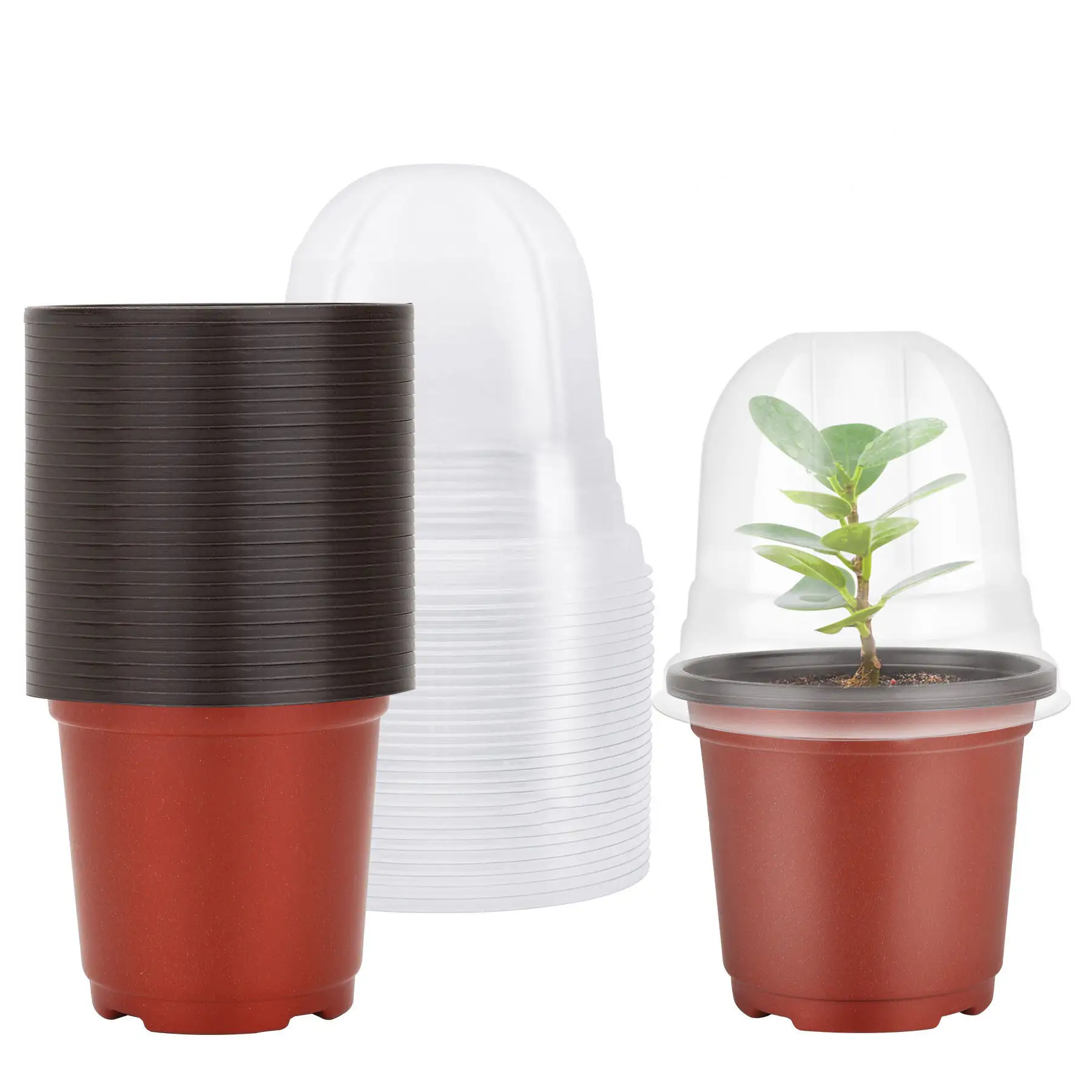 뜨거운 판매 보육 냄비 PP 플라스틱 화분 투명 커버 정원 다크 브라운 컵 식물 보육 냄비