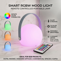 Lampu Tidur Luar Ruangan untuk Berkemah, Lampu LED RGB Ambient Lighting Isi Ulang, Lentera Genggam dengan Tali Kulit, Lampu Meja Tanpa Kabel yang Dapat Diredupkan