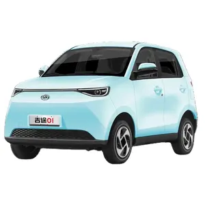 Jitu 01 Jinpeng Elektrische Auto Elektrische Mini Auto Voertuigen Elektrische Voertuigen Kleine Elektrische Auto Elektrische Auto Mini