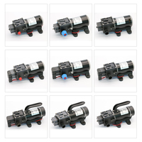 Pompe à diaphragme miniature haute pression 12V 24V 160PSI, pompe de surpression