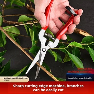 Kéo cắt tỉa cây cảnh chất lượng cao, lưỡi thép không gỉ, có khóa an toàn khi cắt trái cây - Product Image 3