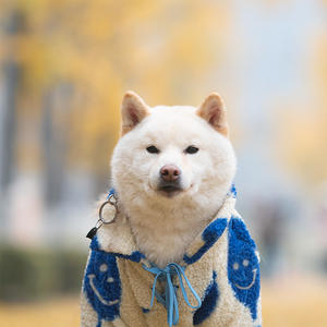 2022 패션 디자이너 개 옷 웃는 얼굴 L-6XL 양털 옷 큰 개 - Product Image 5