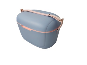 Nevera Portátil de Alta Calidad de 6QT para Acampar al Aire Libre, Nuevo Diseño con Correas Impermeables de PP, PE y PU, Patrón de Letras, Hielera - Product Image 2