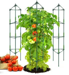 Jaula de tomate-Estacas de plantas de tomates Premium Jaulas de soporte Enrejado para jardín y macetas