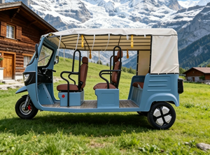 Tricycle à trois places pour adultes, fabriqué <span class=keywords><strong>en</strong></span> Chine, haute efficacité <span class=keywords><strong>de</strong></span> travail, marché europé<span class=keywords><strong>en</strong></span>, homologué EEC COC - Product Image 5