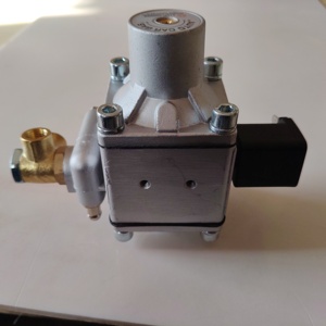 Regulador <span class=keywords><strong>de</strong></span> Presión <span class=keywords><strong>de</strong></span> Gas al por Mayor, Regulador <span class=keywords><strong>de</strong></span> GNC <span class=keywords><strong>de</strong></span> Presión Media, Reductor <span class=keywords><strong>de</strong></span> Presión <span class=keywords><strong>de</strong></span> Gas Modificado para Vehículos <span class=keywords><strong>de</strong></span> GNC <span class=keywords><strong>de</strong></span> Alta Calidad - Product Image 5