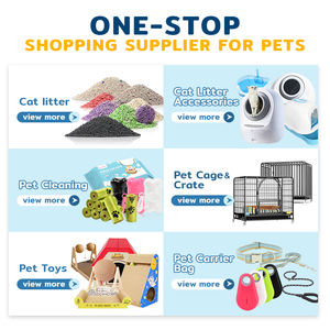Spot Inventory Mehrere Größen optionen Cat House Durable Pet Sofa Rutsch festes Bottom Design Hunde bett - Product Image 4