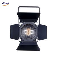 Projecteur Fresnel LED 300W pour studio TV avec zoom électronique professionnel, température de couleur réglable, utilisé pour l'éclairage photographique
