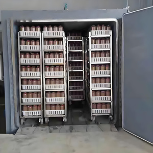 เครื่องอบฆ่าเชื้อในถุงอบฆ่าเชื้อรูปเห็ดลูกบาศก์แบบสองประตู - Product Image 3