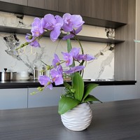 Fleurs artificielles Phalaenopsis Rain Stone Bonsai, pot de fleurs artificiel imprimé en 3D pour la décoration de bureau, orchidée