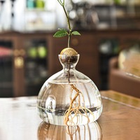 Jarrón de Vidrio Transparente Estético con Forma de Semilla de Aguacate, Florero Simple para Arreglos Florales Modernos en el Hogar