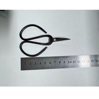 Outils de coupe en acier au carbone portables professionnels de haute qualité ciseaux de jardin cisailles à fleurs