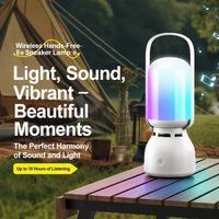 Mini-enceinte portable sans fil 5.3 étanche IPX4 pour extérieur, camping, avec subwoofer RGB et système sonore d'ambiance