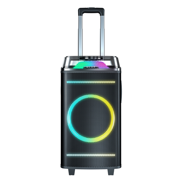 Portable Karaoke Speaker 120W High Power Wood pa Active Speaker Trolley Portable Speaker with DJ Lights