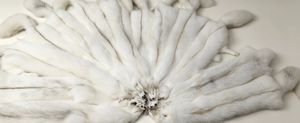 Peaux de renard arctique naturelles et authentiques pour écharpes, châles et vêtements d'extérieur écologiques pour femmes - Product Image 4