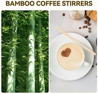 Agitateurs jetables en bois de bouleau de qualité supérieure, emballés individuellement, de qualité alimentaire, pour café, thé, mélange et fournitures de fête