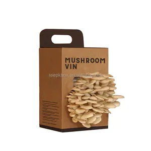 custom logo cardboard mushroom fresh mushroom box growing kit box with handle pulp recyacle packaging Mushroom Growing Kit box