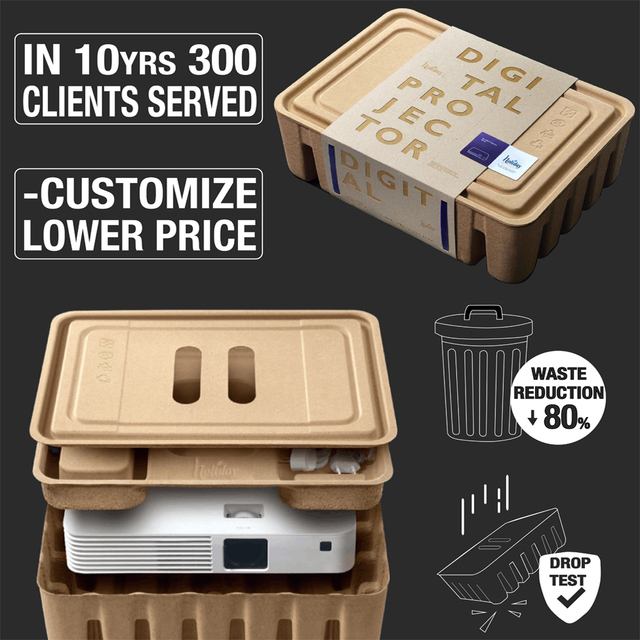 Bio Degradable Antistatic Shock-proof Instrument Electronics Cosmetics Food Medicine Pulp Display Packaging Box PDQ