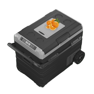 Refrigerador de Compresor para Coche Alpicool <span class=keywords><strong>TWW</strong></span>, Refrigerador Solar de 12 V CC, Mini Refrigerador, Congelador para Coche con Protección de Batería Baja - Product Image 1