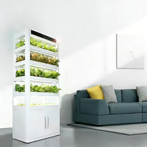 M2 220W Giardino Intelligente da Interno con 152 Pod, Irrigazione a Film Nutriente NFT, Struttura in Acciaio, Macchina Intelligente per la Coltivazione di Verdure in <span class=keywords><strong>Cucina</strong></span> - Product Image 3