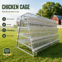 Cage à poules pondeuses automatique galvanisée à chaud pour 1000 poulets, cage de batterie pour ferme avicole, capacité 300 poulets pondeuses