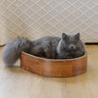 Gratte-chat d'intérieur moderne ovale et circulaire en bois avec boîte à gratter en papier ondulé pour propriétaires