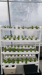 Hydroponic Grow Kit <span class=keywords><strong>4</strong></span> Lớp 64 Thực Vật Trang Web 8 PVC Ống Mini Hydroponics Hệ Thống Phát Triển - Product Image 6