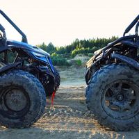 Buggy pour adolescents Trail Blazer Manufacturing, chaîne à gros couple, moteur 4 temps, frein à disque hydraulique, son moteur magnifique