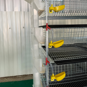 Gabbia <span class=keywords><strong>per</strong></span> <span class=keywords><strong>Quaglie</strong></span> a 6 Livelli Tipo H con Mangiatoia Automatica, Capacità 300-330 <span class=keywords><strong>Quaglie</strong></span> <span class=keywords><strong>per</strong></span> Produzione di Uova - Product Image 3