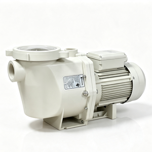 2026 Pentair Style Single Speed Pool Pump 110V220V380V High Pressure Swimming Pool Water Filter Pump S.S316 - Product Image 1
